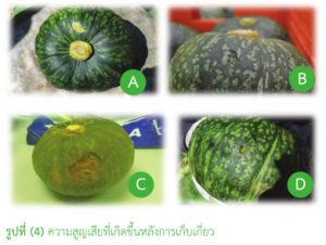 การสูญเสียที่เกิดขึ้นหลังการเก็บเกี่ยว