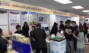 นิทรรศการและเผยแพร่ผลงาน