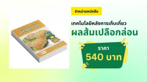 ผลส้มเปลือกล่อน
