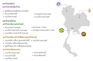 มหาวิทยาลัยที่ร่วมดำเนินการ