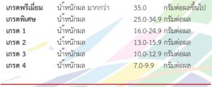 มาตรฐานของผลสตรอว์เบอร์รี
