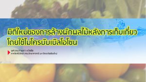 มิติใหม่ของการล้างผักผลไม้หลังการเก็บเกี่ยวโดยใช้ไมโครบับเบิลโอโซน