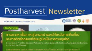 Postharvest Newsletter ปีที่ 19 ฉบับที่ 4 ตุลาคม - ธันวาคม 2563