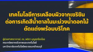 ต้นแบบผลิตภัณฑ์ซองปลดปล่อยไอเอทานอลและบรรจุภัณฑ์ค้าปลีกของมะม่วงน้าดอกไม้สุก