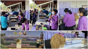 รณรงค์ถ่ายทอดเทคโนโลยีการผลิตข้าว