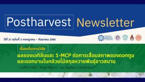 Postharvest Newsletter ปีที่ 21 ฉบับที่ 3 กรกฎาคม - กันยายน 2565