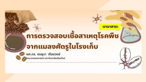 การตรวจสอบเชื้อสาเหตุโรคพืชจากแมลงศัตรูในโรงเก็บ