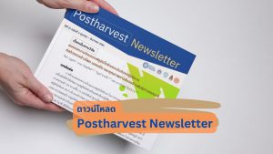 Postharvest Newsletter ปีที่ 21 ฉบับที่ 4 ตุลาคม - ธันวาคม 2565