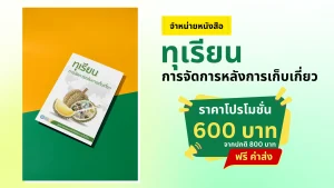 ทุเรียน การจัดการหลังการเก็บเกี่ยว
