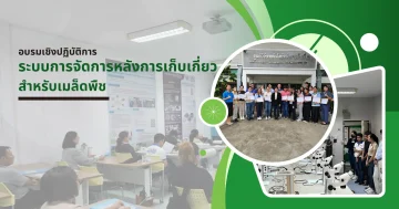 Postharvest Management