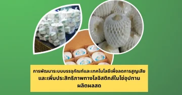 การพัฒนาระบบบรรจุภัณฑ์และเทคโนโลยีเพื่อลดการสูญเสีย