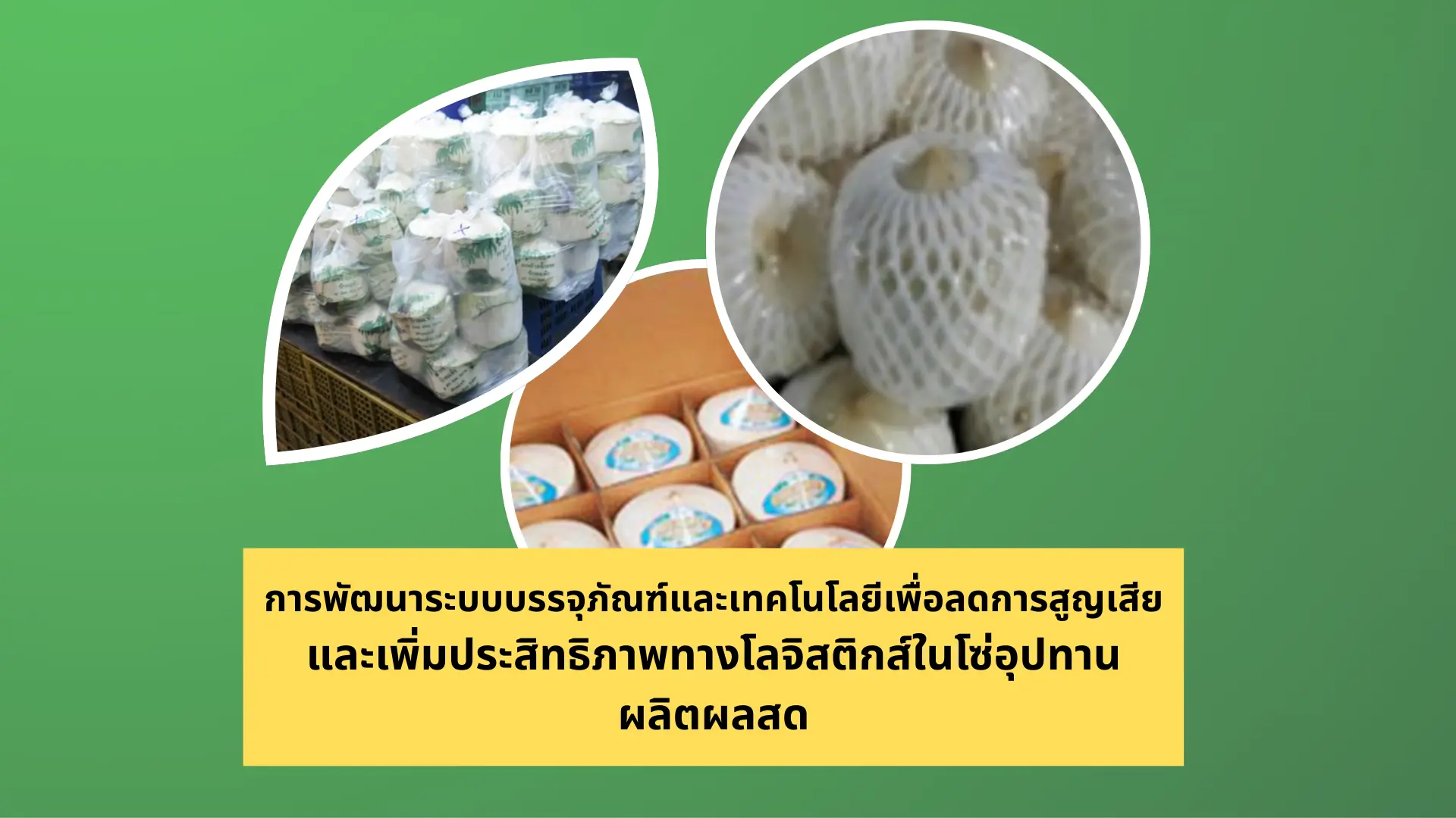 การพัฒนาระบบบรรจุภัณฑ์และเทคโนโลยีเพื่อลดการสูญเสีย