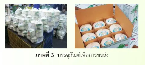 บรรจุภัณฑ์เพื่อการขนส่ง