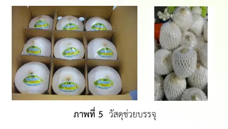 วัสดุช่วยบรรจุ