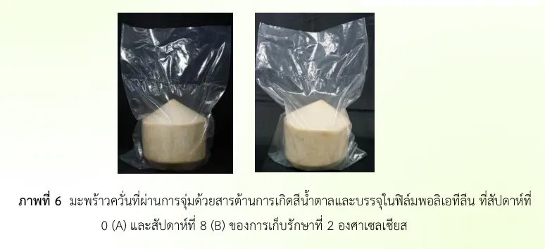 มะพร้าวควั่นที่ผ่านการจุ่มด้วยสารต้านการเกิดสีน้ำตาลและบรรจุในฟิล์มพอลิเอทีลีน ที่สัปดาห์ที่ 0 (A) และสัปดาห์ที่ 8 (B) ของการเก็บรักษาที่ 2 องศาเซลเซียส