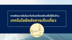 การพัฒนาเส้นใยนาโนอิเลคโตรสปัน