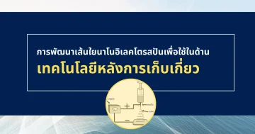 การพัฒนาเส้นใยนาโนอิเลคโตรสปัน